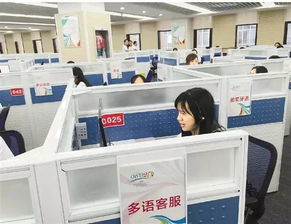 14個(gè)語種近300名翻譯 g20峰會多語服務(wù)平臺96020將上線